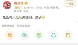 懂瓜瓜最新爆料,懂瓜瓜最新爆料，带你直击明星幕后真相